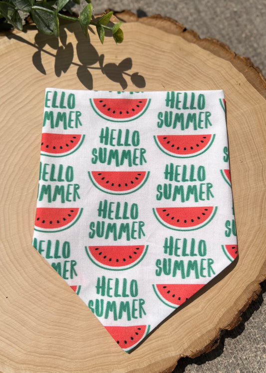 Hello Summer Watermelon Over Collar Pet Bandana